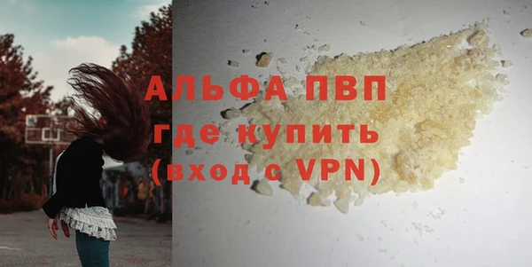 прущие грибы Арсеньев