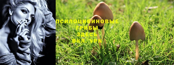 прущие грибы Арсеньев