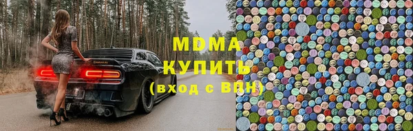 прущие грибы Арсеньев